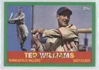 Ted Williams #/99