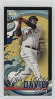 David Ortiz #/50