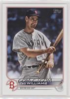 SSP - Greats Variation - Ted Williams
