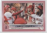 Checklist - Dugout Congratulations (Cornerstone Celebrations) #/50