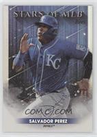 Salvador Perez