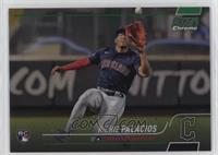 Updates - Richie Palacios #/99