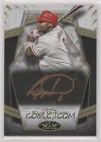 Ryan Howard #/25