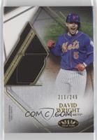 David Wright #/249