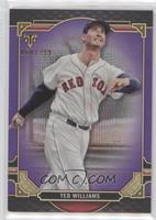 Ted Williams #/299