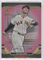 Ted Williams #/125