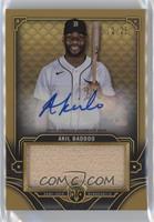 Akil Baddoo #/25