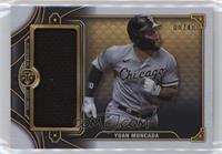 Yoan Moncada #/48