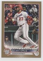 Nelson Cruz #/25