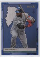 Homeland Inspirations - David Ortiz #/19