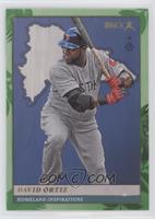 Homeland Inspirations - David Ortiz #/75