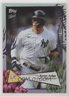 Aaron Judge #/25