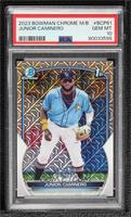 Junior Caminero [PSA 10 GEM MT]