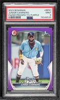 Junior Caminero [PSA 9 MINT] #/250