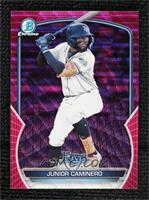 Junior Caminero #/199