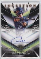 Cayden Wallace #/300