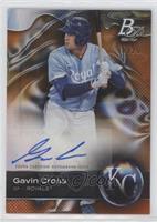 Gavin Cross #/25