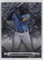 Prospects - Junior Caminero #/100