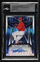 Walbert Urena [Uncirculated] #/1