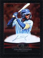 Junior Caminero #/20