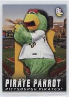 Pirate Parrot