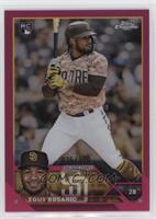 Eguy Rosario #/399