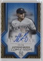 Anthony Rizzo #/25