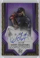 Sandy Alcantara #/50