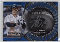 Anthony Rizzo #/20