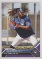 Vladimir Guerrero Jr. #/25