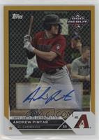 Andrew Pintar #/50