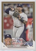 Gleyber Torres #/2,023