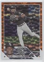 Tim Anderson #/299