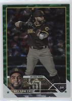 Nelson Cruz #/499