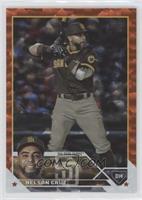 Nelson Cruz #/299