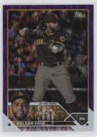 Nelson Cruz #/799