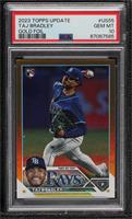 Taj Bradley [PSA 10 GEM MT]