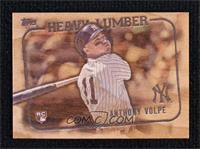 Anthony Volpe #/500
