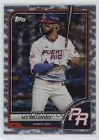 MJ Melendez #/99