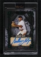 Anthony Volpe [Uncirculated] #/1