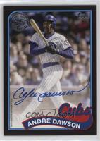 Andre Dawson #/199