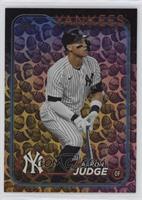 Aaron Judge