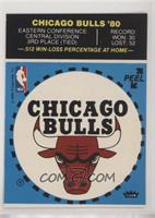 Chicago Bulls (Blue; Puzzle Back)