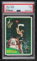 Larry Bird [PSA 7 NM]