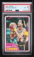 Jamaal Wilkes [PSA 6 EX‑MT]