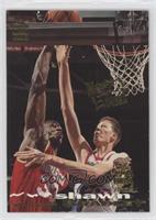 New Wave - Shawn Bradley [EX to NM]