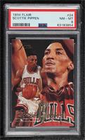 Scottie Pippen [PSA 8 NM‑MT]