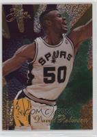 David Robinson