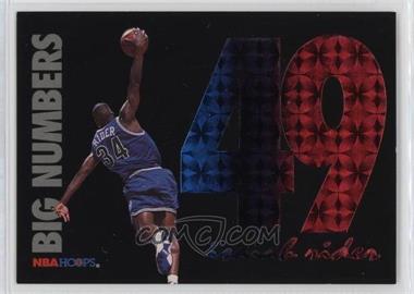 1994-95 NBA Hoops - Big Numbers - Rainbow #BN10 - Isaiah Rider