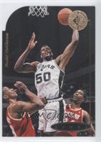 David Robinson